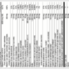 Essential Multivitamin - Image 2